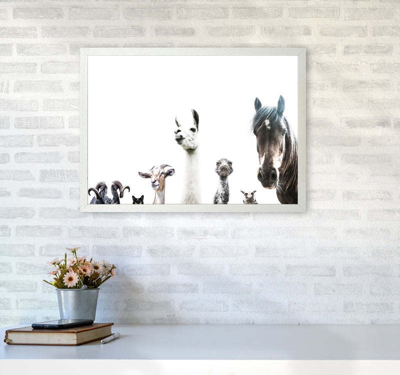 Animal Crew Photography Print by Victoria Frost A2 Oak Frame