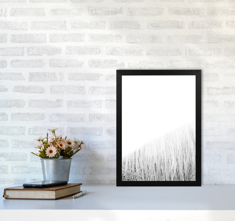White Horse I Photography Print by Victoria Frost A3 White Frame