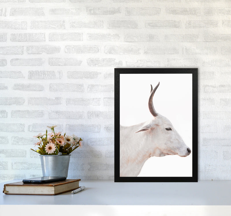 White Cow II Photography Print by Victoria Frost A3 White Frame