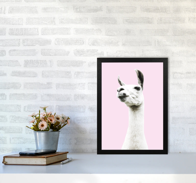 Pink Llama Photography Print by Victoria Frost A3 White Frame