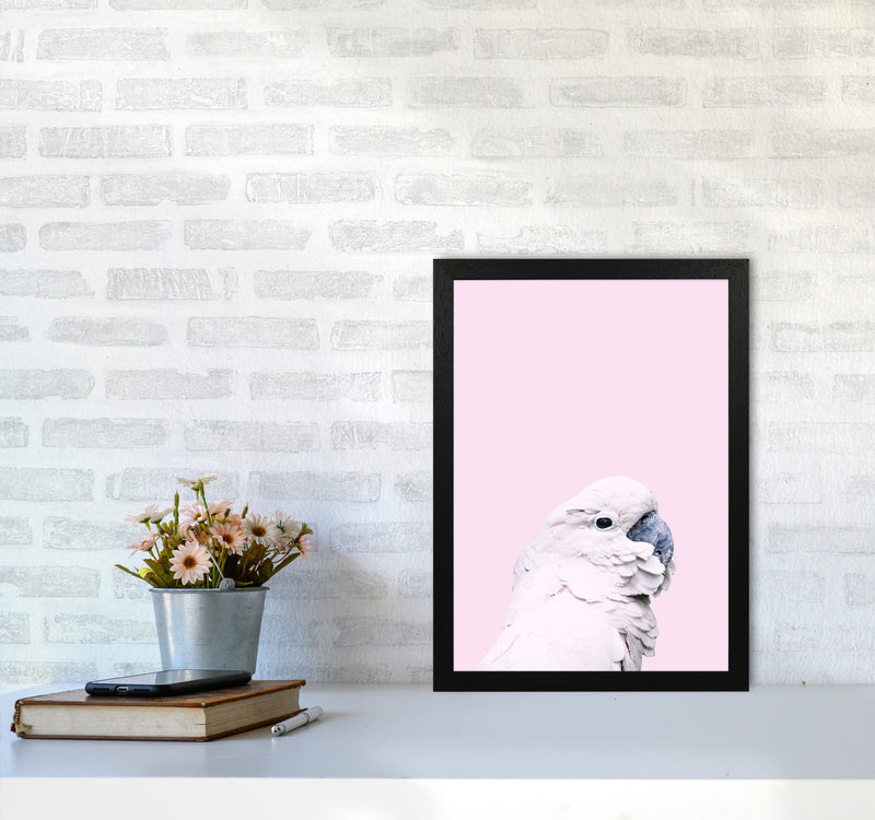Pink Cockatoo Photography Print by Victoria Frost A3 White Frame