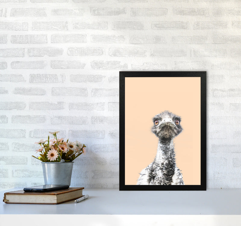 Orange Emu Photography Print by Victoria Frost A3 White Frame