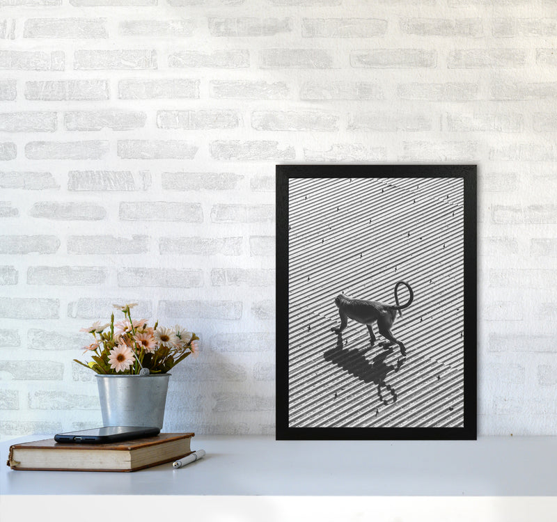 Monkey Buisness Photography Print by Victoria Frost A3 White Frame