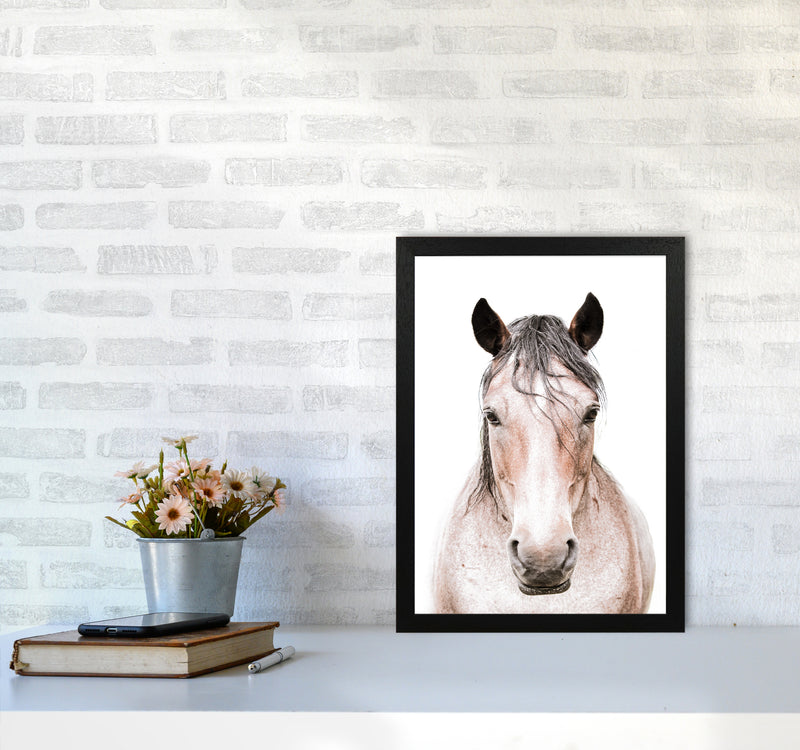 Horse Photography Print by Victoria Frost A3 White Frame