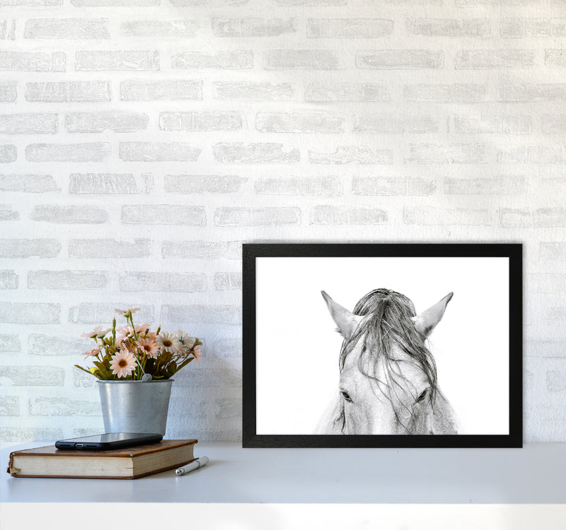 Horse II Photography Print by Victoria Frost A3 White Frame