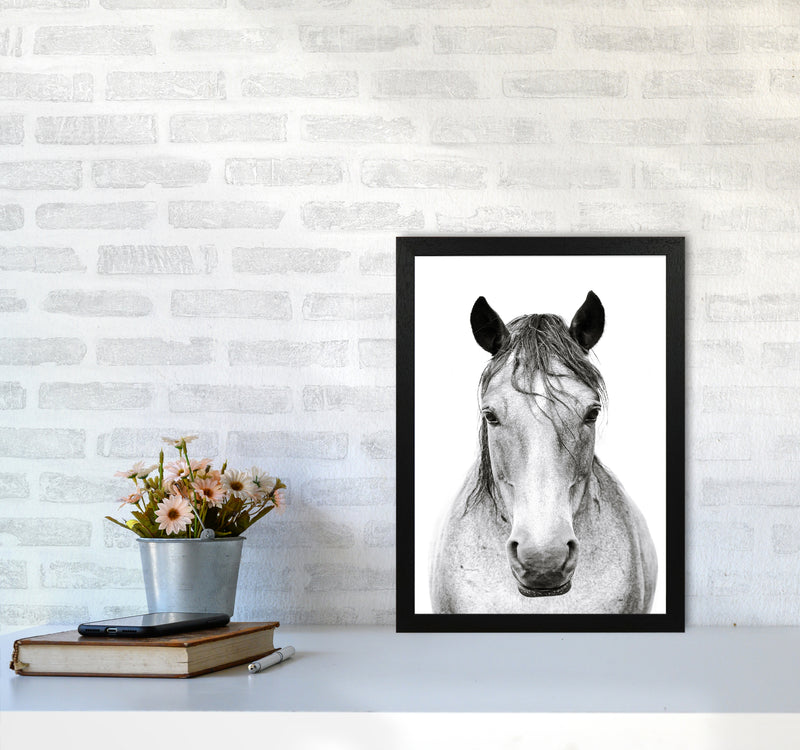 Horse I Photography Print by Victoria Frost A3 White Frame