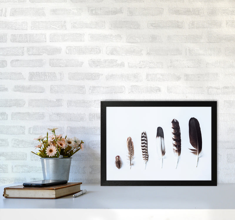 Feathers II Photography Print by Victoria Frost A3 White Frame