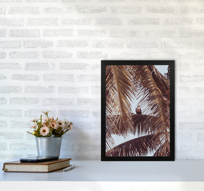 Eagle Photography Print by Victoria Frost A3 White Frame