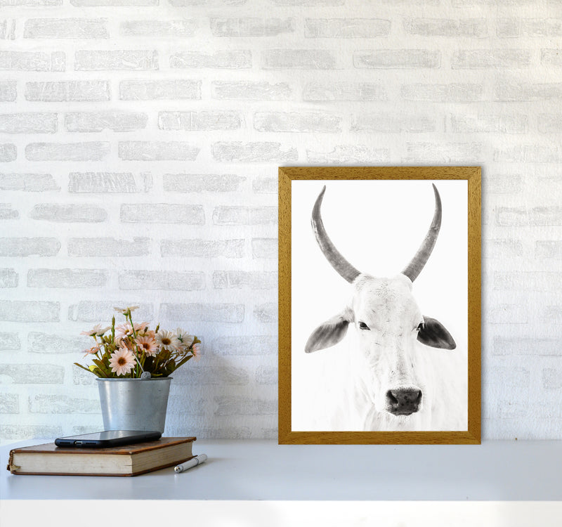 White Cow I Photography Print by Victoria Frost A3 Print Only