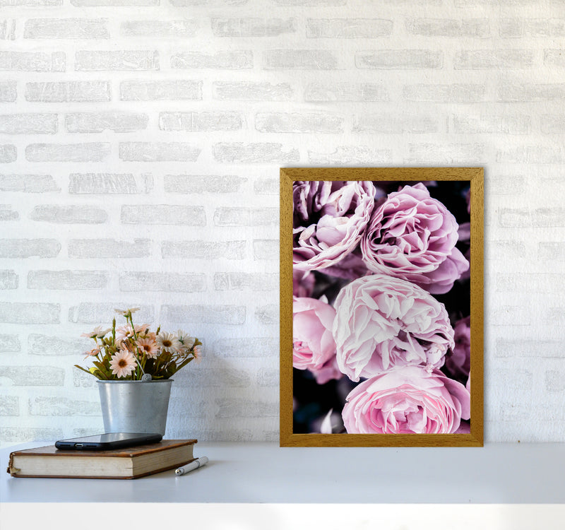 Pink Flowers I Photography Print by Victoria Frost A3 Print Only