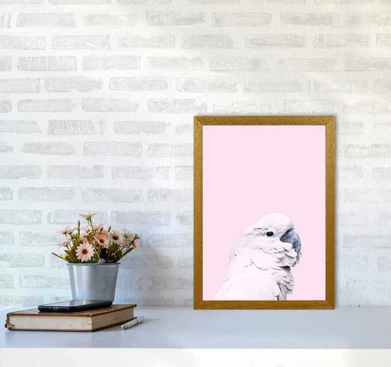 Pink Cockatoo Photography Print by Victoria Frost A3 Print Only