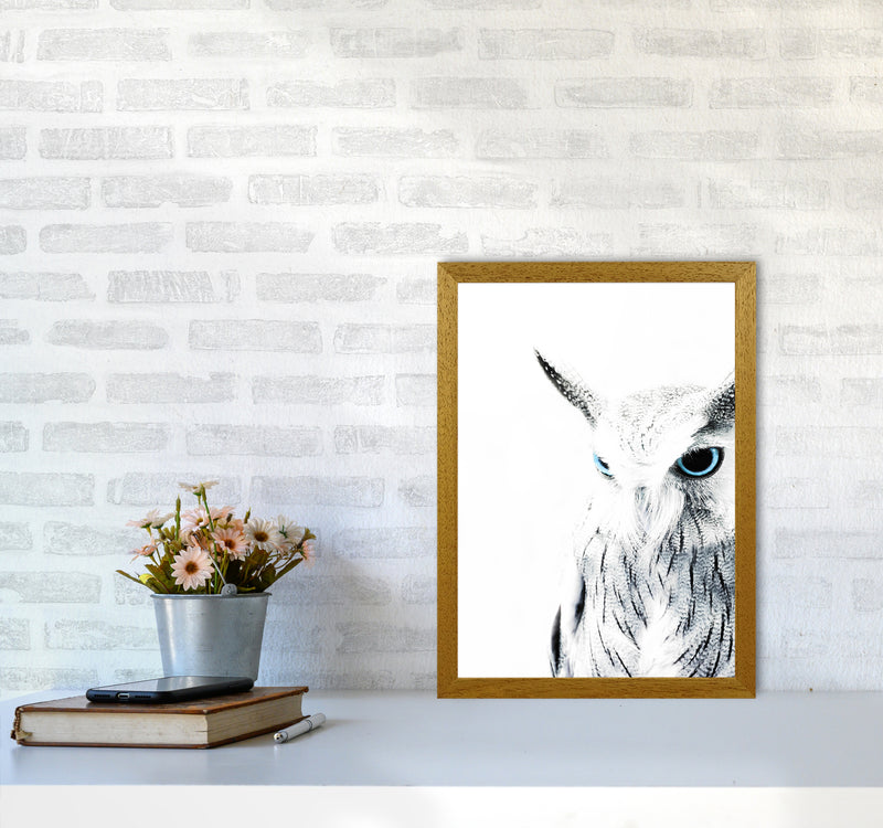 Owl I Photography Print by Victoria Frost A3 Print Only