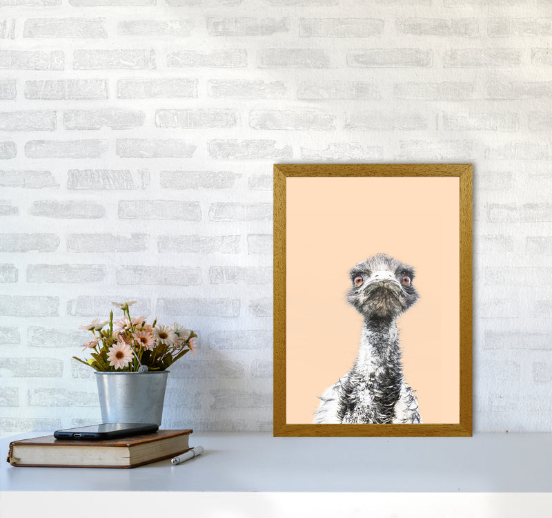 Orange Emu Photography Print by Victoria Frost A3 Print Only
