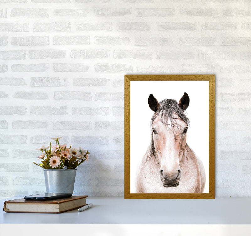 Horse Photography Print by Victoria Frost A3 Print Only