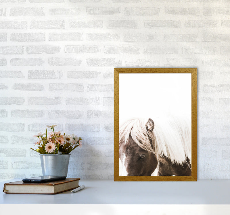 Horse III Photography Print by Victoria Frost A3 Print Only
