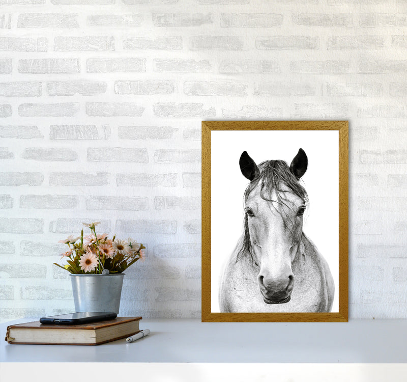 Horse I Photography Print by Victoria Frost A3 Print Only