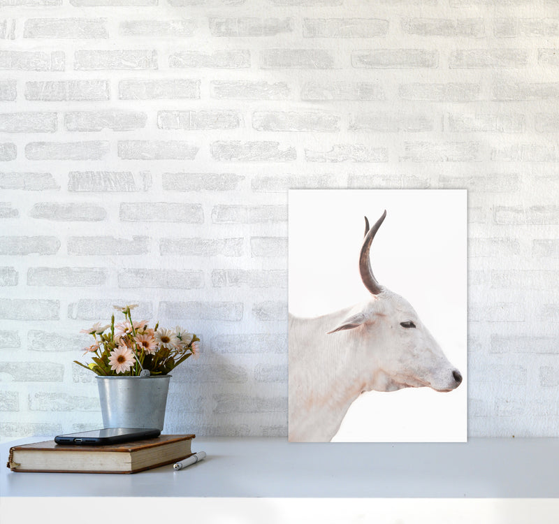 White Cow II Photography Print by Victoria Frost A3 Black Frame