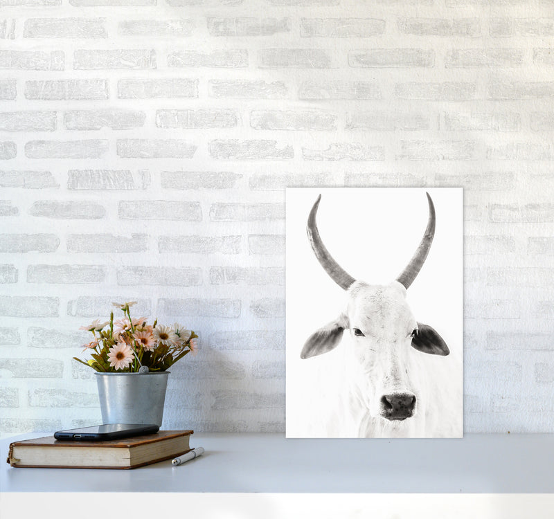 White Cow I Photography Print by Victoria Frost A3 Black Frame