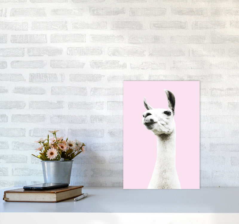 Pink Llama Photography Print by Victoria Frost A3 Black Frame