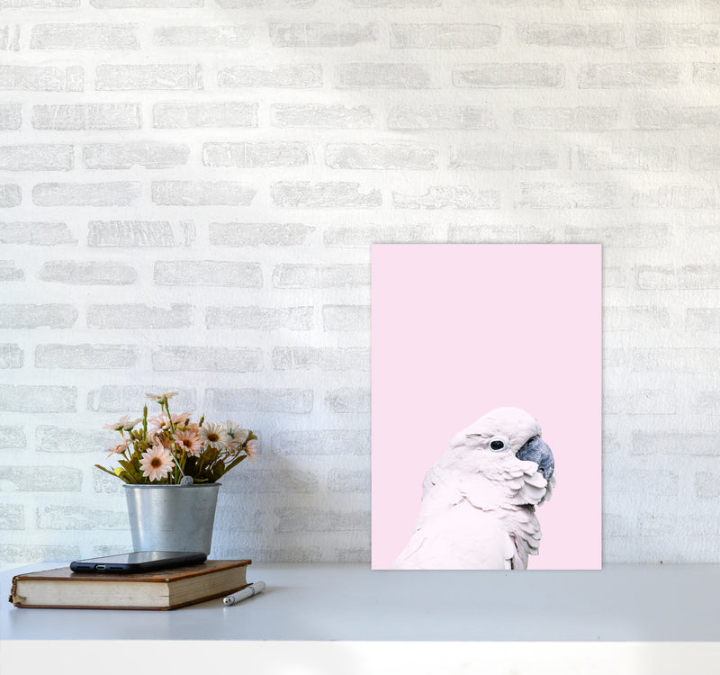 Pink Cockatoo Photography Print by Victoria Frost A3 Black Frame