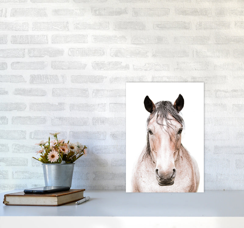 Horse Photography Print by Victoria Frost A3 Black Frame