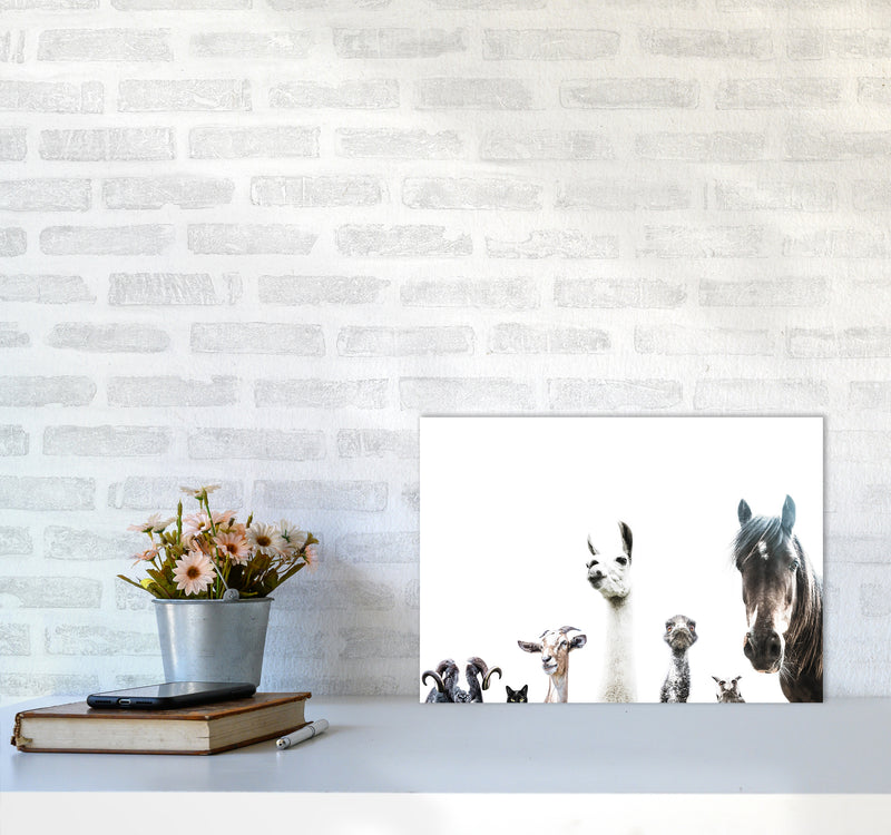 Animal Crew Photography Print by Victoria Frost A3 Black Frame