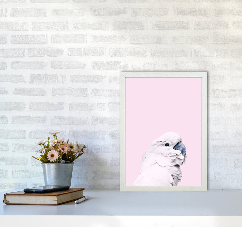 Pink Cockatoo Photography Print by Victoria Frost A3 Oak Frame