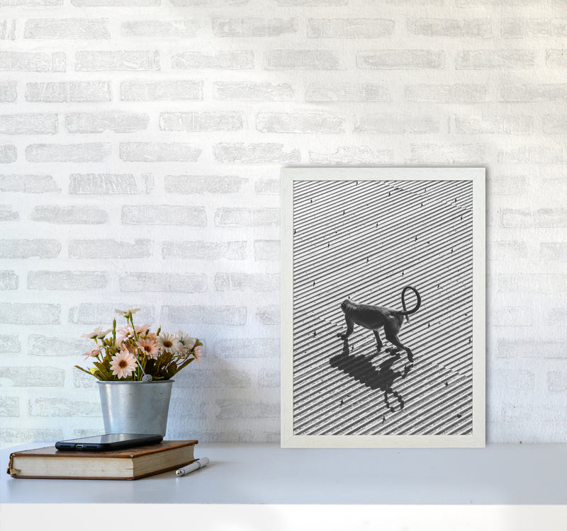 Monkey Buisness Photography Print by Victoria Frost A3 Oak Frame