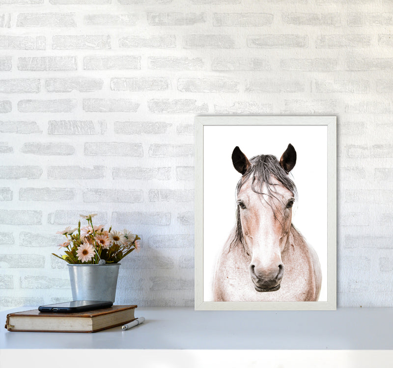 Horse Photography Print by Victoria Frost A3 Oak Frame