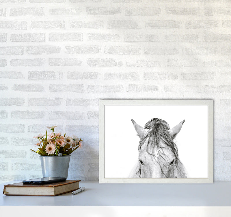 Horse II Photography Print by Victoria Frost A3 Oak Frame