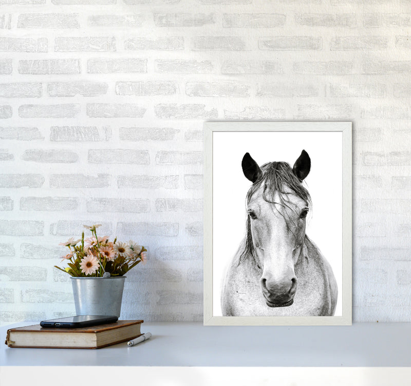 Horse I Photography Print by Victoria Frost A3 Oak Frame