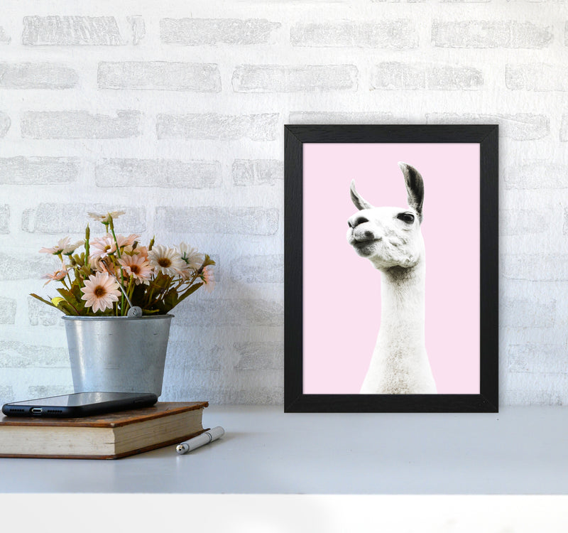 Pink Llama Photography Print by Victoria Frost A4 White Frame