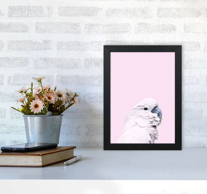 Pink Cockatoo Photography Print by Victoria Frost A4 White Frame