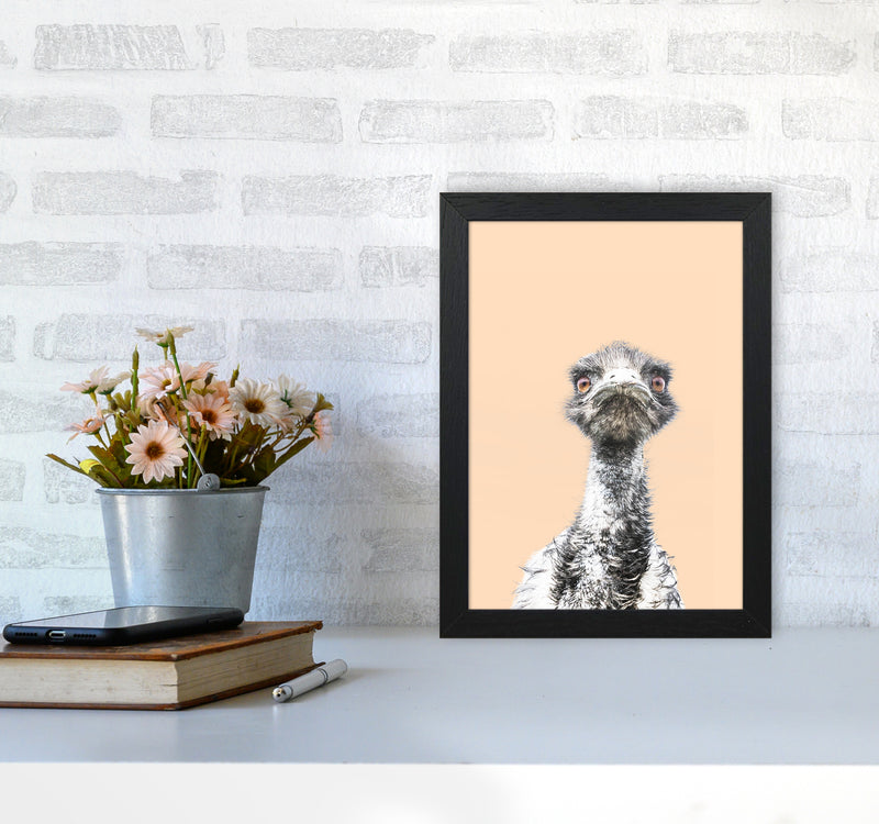 Orange Emu Photography Print by Victoria Frost A4 White Frame