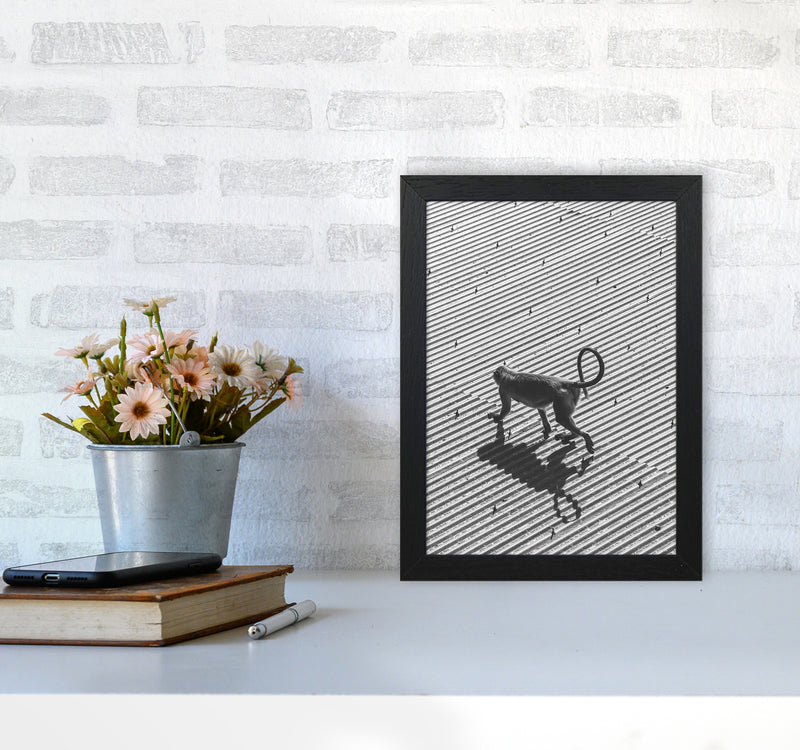 Monkey Buisness Photography Print by Victoria Frost A4 White Frame