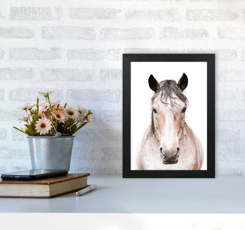 Horse Photography Print by Victoria Frost A4 White Frame