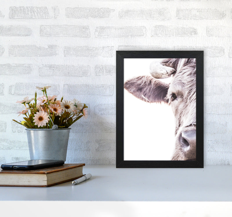 Highlander II Photography Print by Victoria Frost A4 White Frame