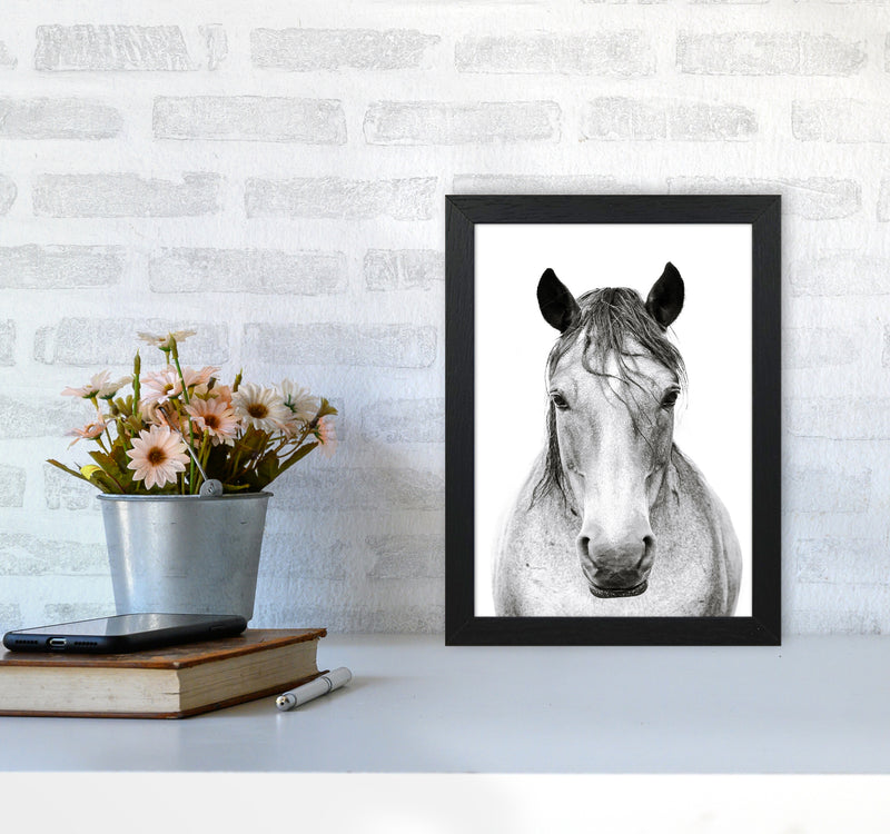 Horse I Photography Print by Victoria Frost A4 White Frame