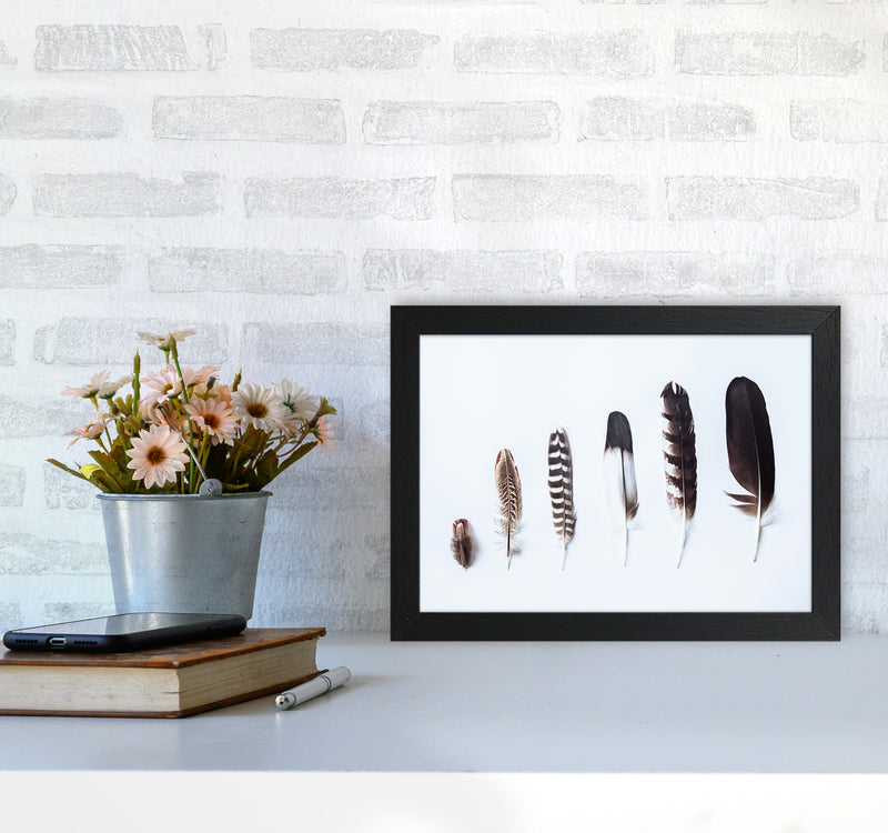 Feathers II Photography Print by Victoria Frost A4 White Frame