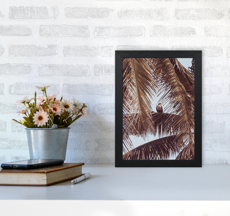 Eagle Photography Print by Victoria Frost A4 White Frame