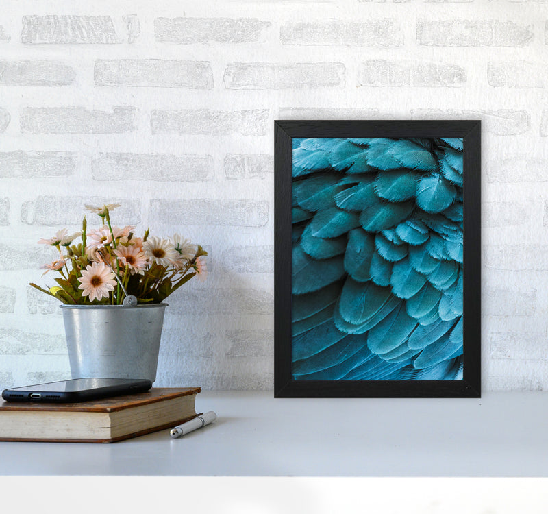 Blue Feathers Photography Print by Victoria Frost A4 White Frame