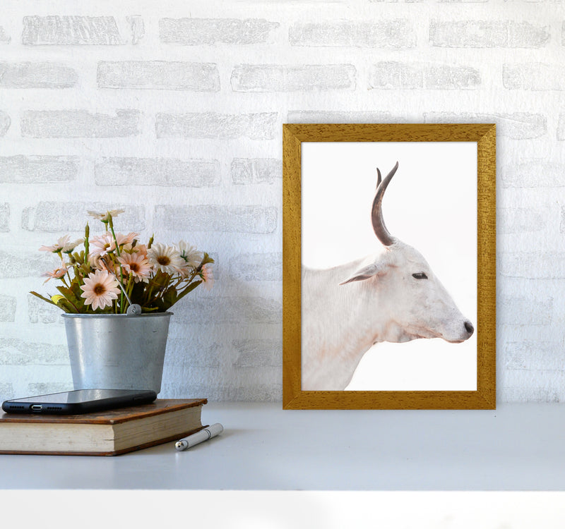 White Cow II Photography Print by Victoria Frost A4 Print Only