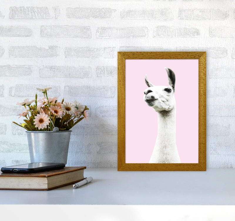 Pink Llama Photography Print by Victoria Frost A4 Print Only