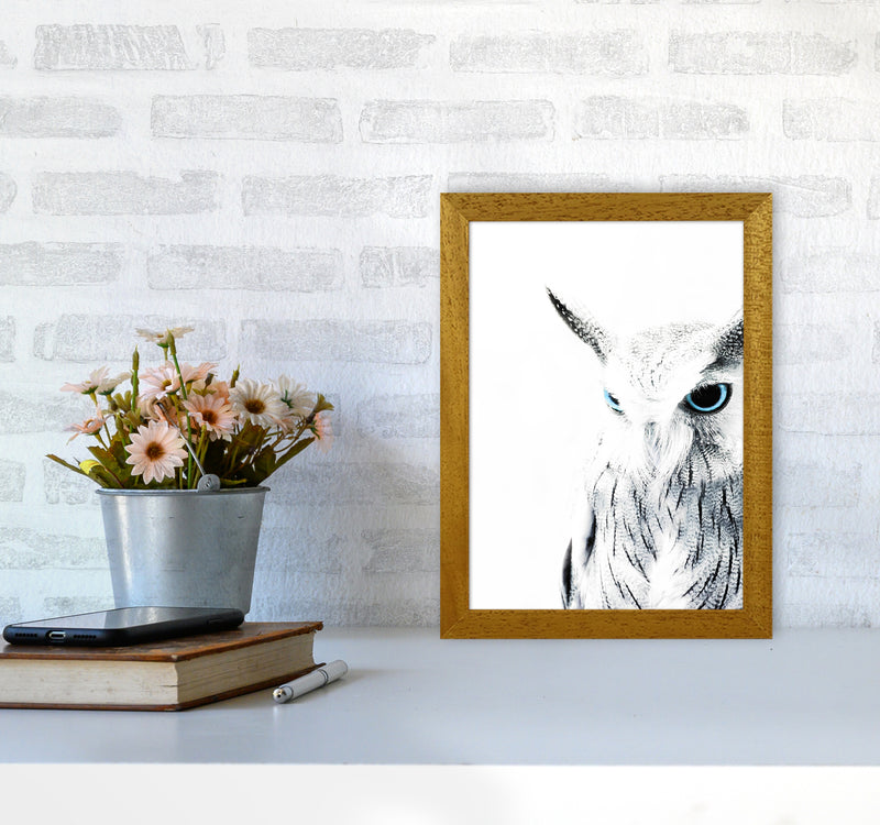 Owl I Photography Print by Victoria Frost A4 Print Only