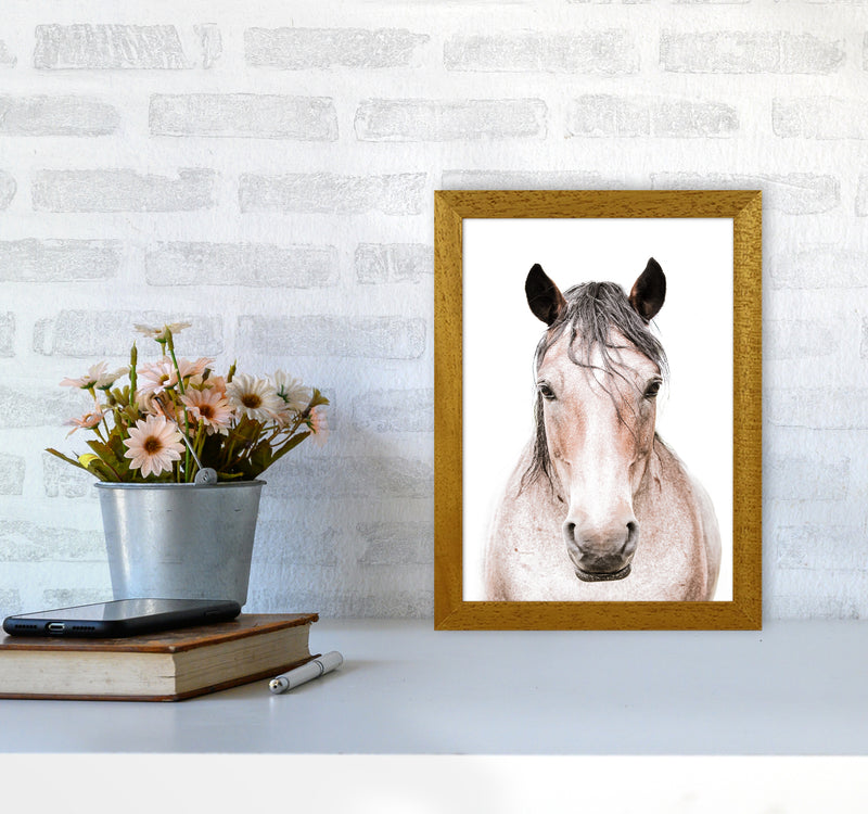 Horse Photography Print by Victoria Frost A4 Print Only