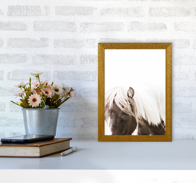 Horse III Photography Print by Victoria Frost A4 Print Only