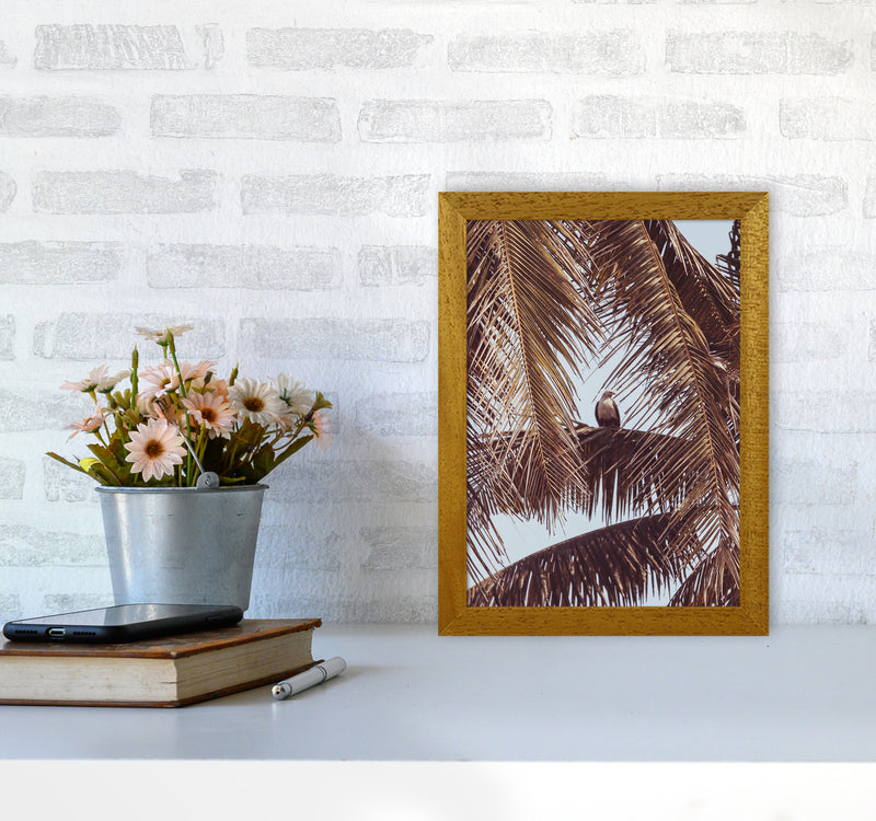 Eagle Photography Print by Victoria Frost A4 Print Only