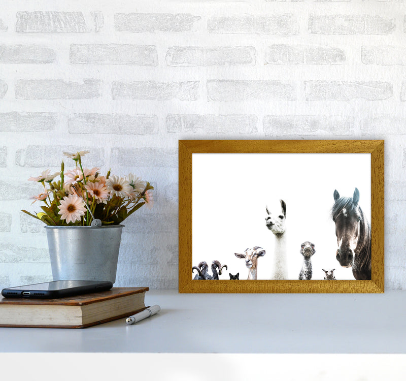 Animal Crew Photography Print by Victoria Frost A4 Print Only