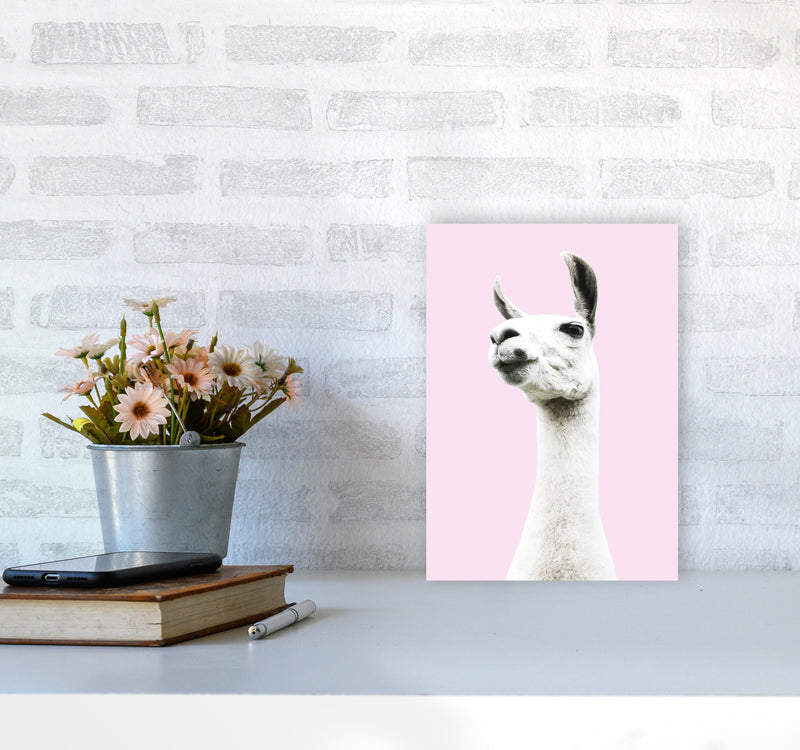 Pink Llama Photography Print by Victoria Frost A4 Black Frame