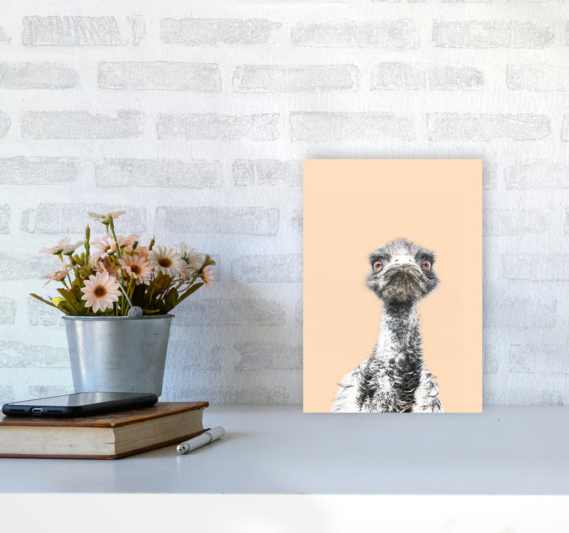 Orange Emu Photography Print by Victoria Frost A4 Black Frame